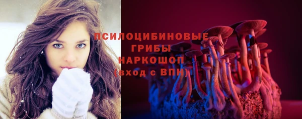 крисы Краснослободск