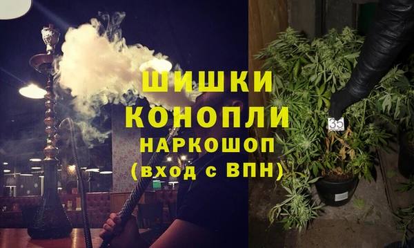 крисы Краснослободск