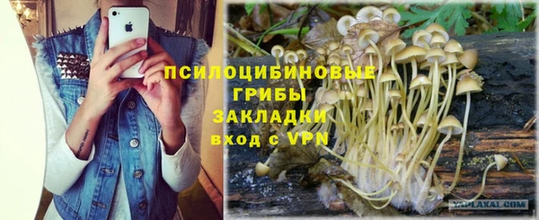 крисы Краснослободск
