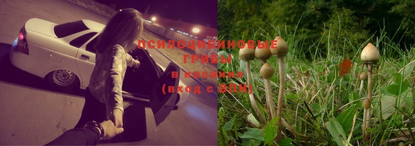 винт Красноперекопск